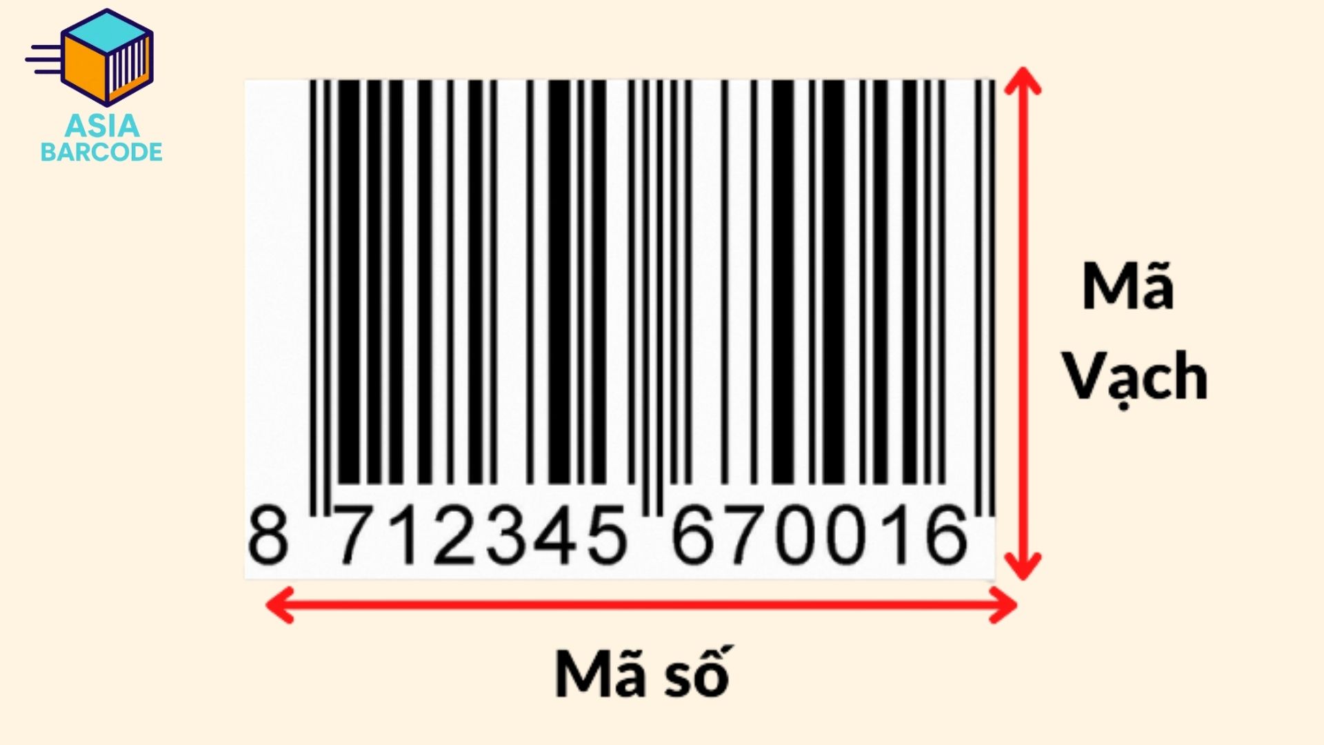 Cấu trúc mã vạch
